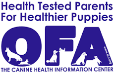 Ofa Logo