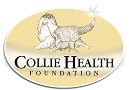 Collie Health Foundation